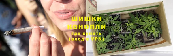 гидра Бугульма