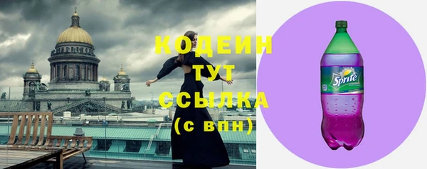 2c-b Бородино