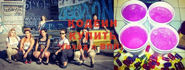 2c-b Бородино