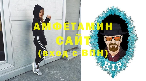 гидра Бронницы