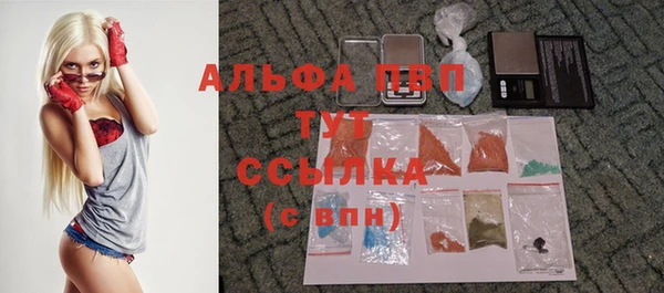 2c-b Бородино