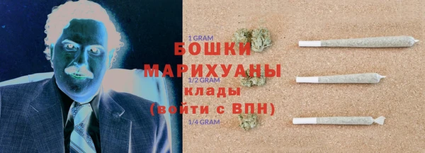 гидра Бронницы