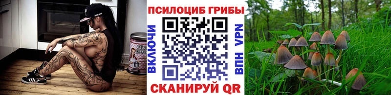 Галлюциногенные грибы Psilocybine cubensis  Пионерский 